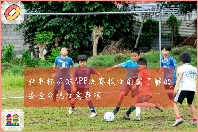 世界杯买球APP决赛投注前需了解的安全合规注意事项