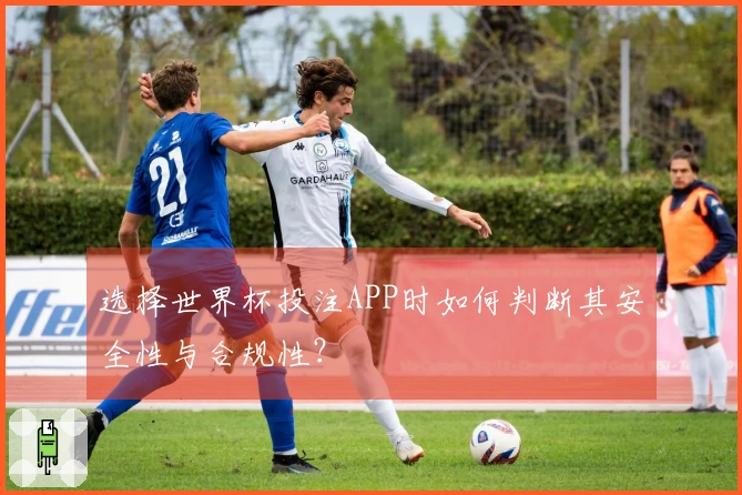 选择世界杯投注APP时如何判断其安全性与合规性？