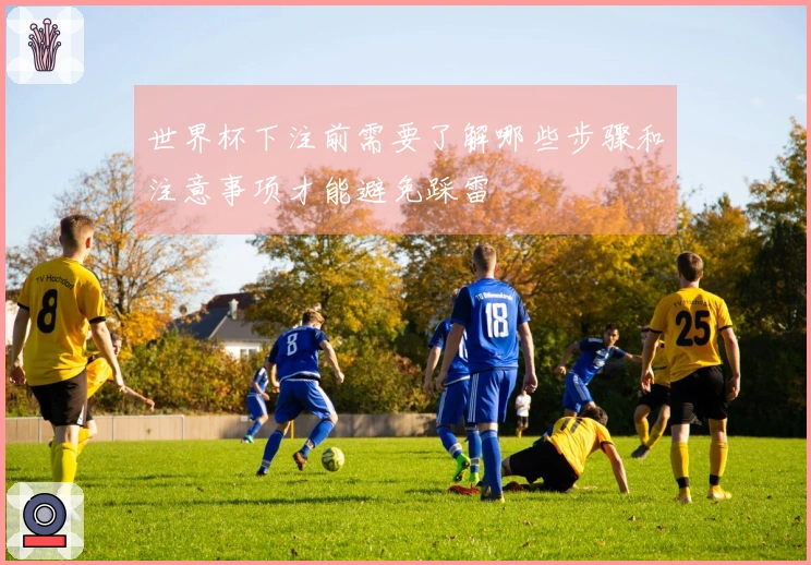 世界杯下注前需要了解哪些步骤和注意事项才能避免踩雷