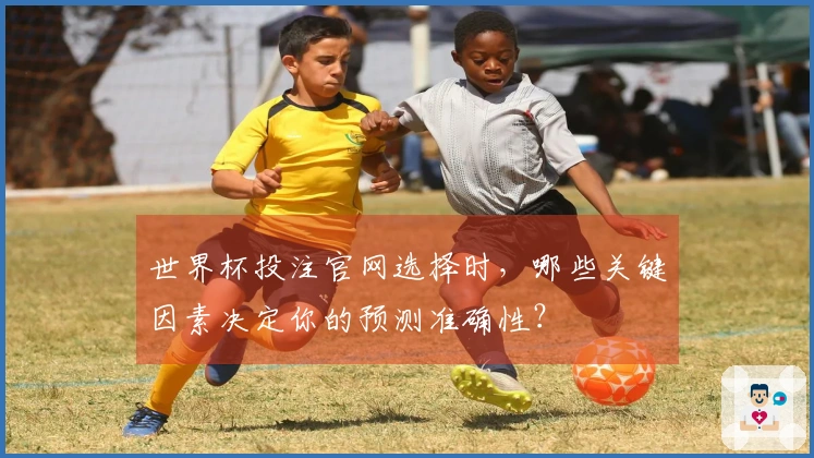 世界杯投注官网选择时，哪些关键因素决定你的预测准确性？