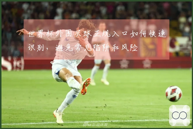 世界杯外围买球正规入口如何快速识别，避免常见陷阱和风险
