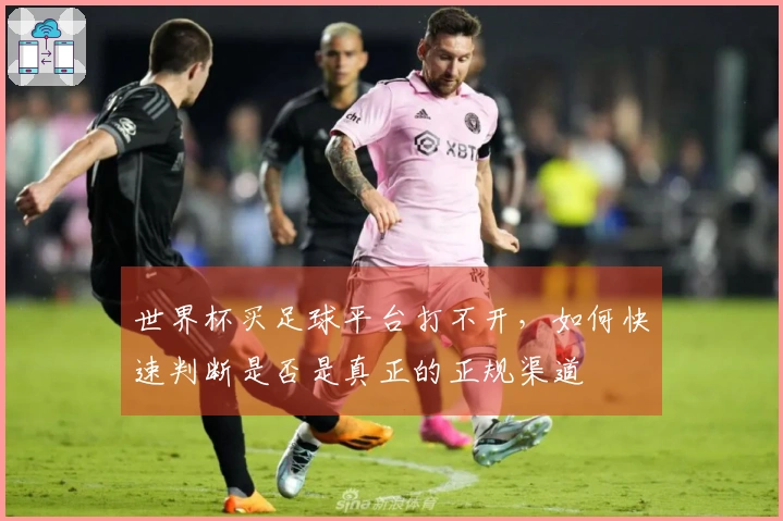 世界杯买足球平台打不开，如何快速判断是否是真正的正规渠道
