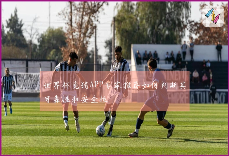 世界杯竞猜APP专家推荐如何判断其可靠性和安全性